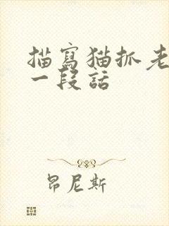 描写猫抓老鼠的一段话