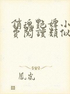 销魂艳婢小说免费阅读类似