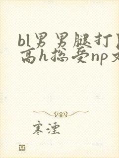 bl男男腿打开高h总受np文