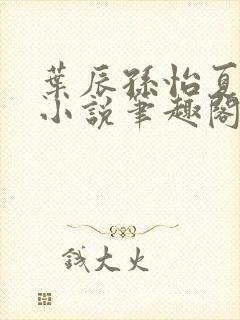 叶辰孙怡夏若雪小说笔趣阁