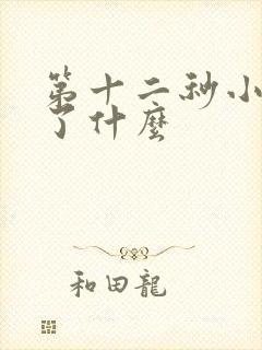 第十二秒小说讲了什么