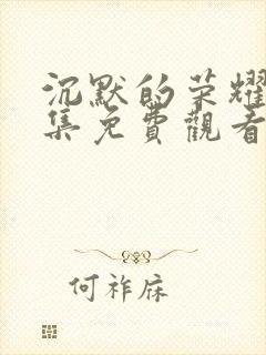 沉默的荣耀24集免费观看