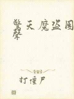 惊天魔盗团2原声