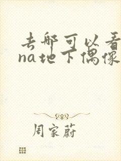 去哪可以看sana地下偶像封面