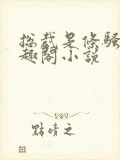 总裁是条骚狗笔趣阁小说