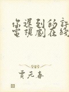 你迟到的许多年电视剧在线观看免费封面