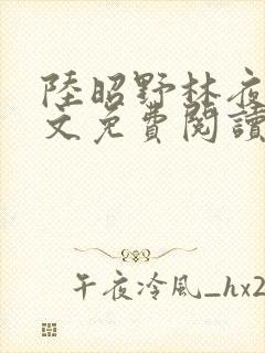 陆昭野林夜棠全文免费阅读最新章节