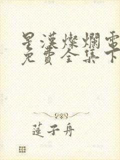 星汉灿烂电视剧免费全集下载