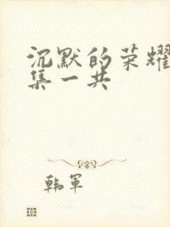 沉默的荣耀多少集一共封面