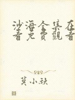 沙海全集在线观看免费观看完整版封面