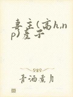 妻主(高h,np)产子封面