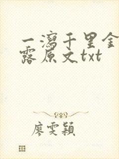 一泻千里金银花露原文txt