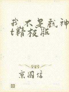 我不是戏神txt精校版