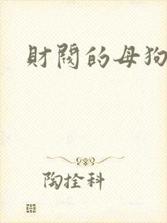 财阀的母狗们