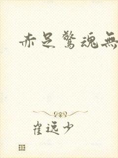 赤足惊魂无删减封面