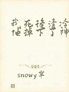 我死后清冷美人他掉下了神坛封面