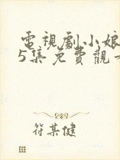 电视剧小娘惹45集免费观看大结局剧情