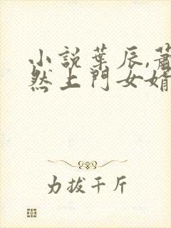 小说叶辰,萧初然上门女婿