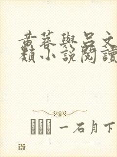 黄蓉与吕文德各类小说阅读