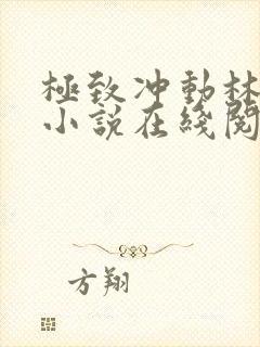 极致冲动林清影小说在线阅读免费