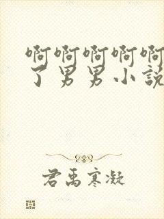 啊啊啊啊啊插入了男男小说h肉封面