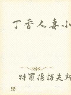 丁香人妻小说封面