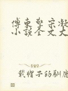 傅东擎宋凝林阑小说全文大结局