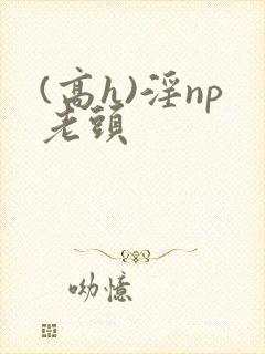 (高h)淫np老头封面