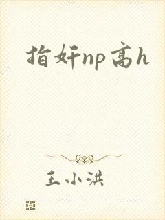指奸np高h