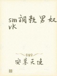 sm调教男奴丨vk