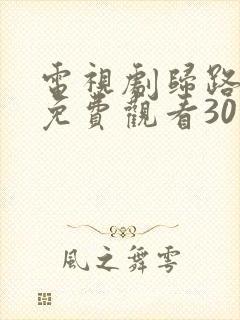 电视剧归路全集免费观看30集高清