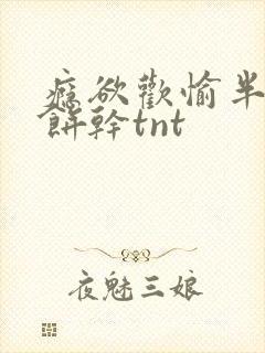 瘾欲欢愉半块小饼干tnt