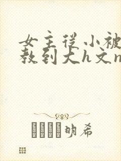 女主从小被肉调教到大h文np封面