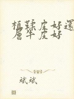 植鞣皮好还是头层牛皮好封面