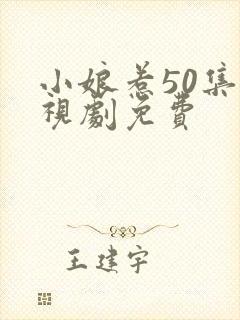 小娘惹50集电视剧免费