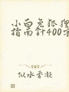 小白兔狐狸山坡指南针400字作文