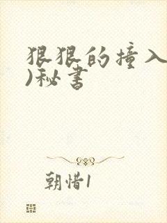 狠狠的撞入(h)秘书