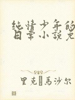 纯情少年的堕落日常小说免费阅读笔趣阁