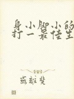 身小脚小的动物打一最佳生肖