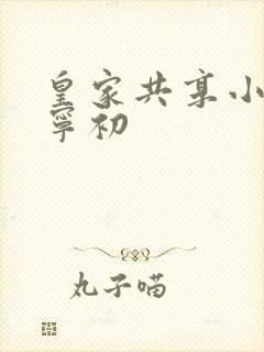 皇家共享小公主宁初