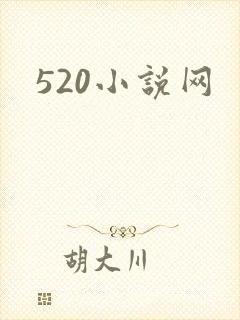 520小说网