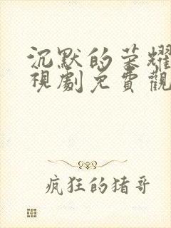 沉默的荣耀 电视剧免费观看全集