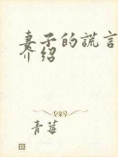 妻子的谎言剧情介绍