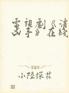 电视剧《消失的凶手》在线观看