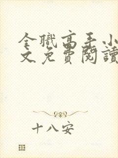 全职高手小说全文免费阅读笔趣阁封面