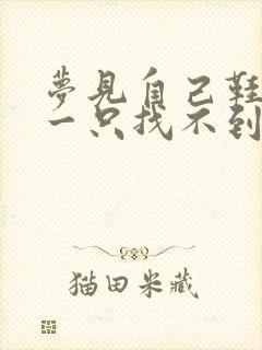 梦见自己鞋丢了一只找不到什么意思封面