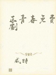 正青春免费电视剧封面