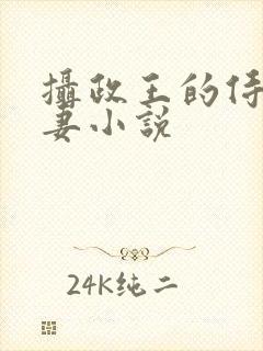 摄政王的侍爱逃妻小说