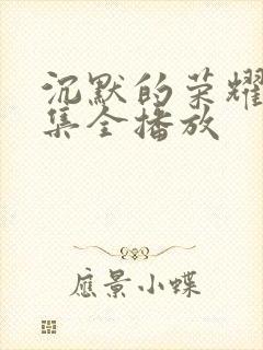 沉默的荣耀40集全播放