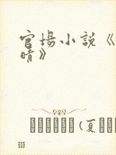 官场小说《许兰晴》